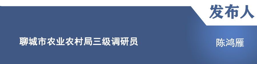 /resources/public/20250218/67b44d00806258504b28fb58.png